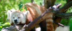 Innovate for hibernate
